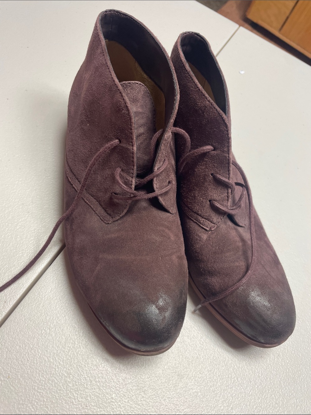 SoftWalk Women's Suede Lace-Up Ankle Booties in Dark Plum